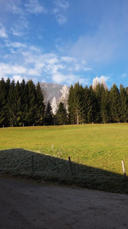 Apartment Knablhof Sankt Martin am Tennengebirge Bilik gambar