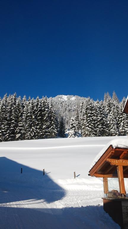 Apartment Knablhof Sankt Martin am Tennengebirge Bilik gambar