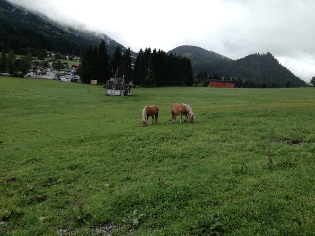 Apartment Knablhof Sankt Martin am Tennengebirge Luaran gambar